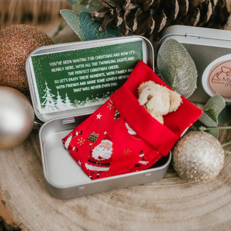 Lisslune | Teddy Bear Christmas Gift