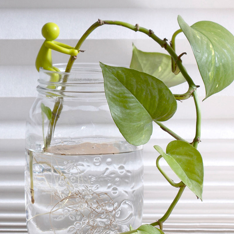 Lisslune | Cute practical plant support figure