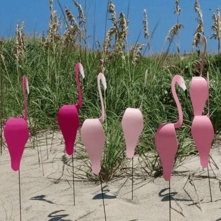 Lisslune | Flamingo Dancing