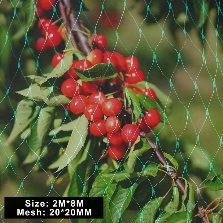 Lisslune | Protective net for garden plants – Green net against pests and animals