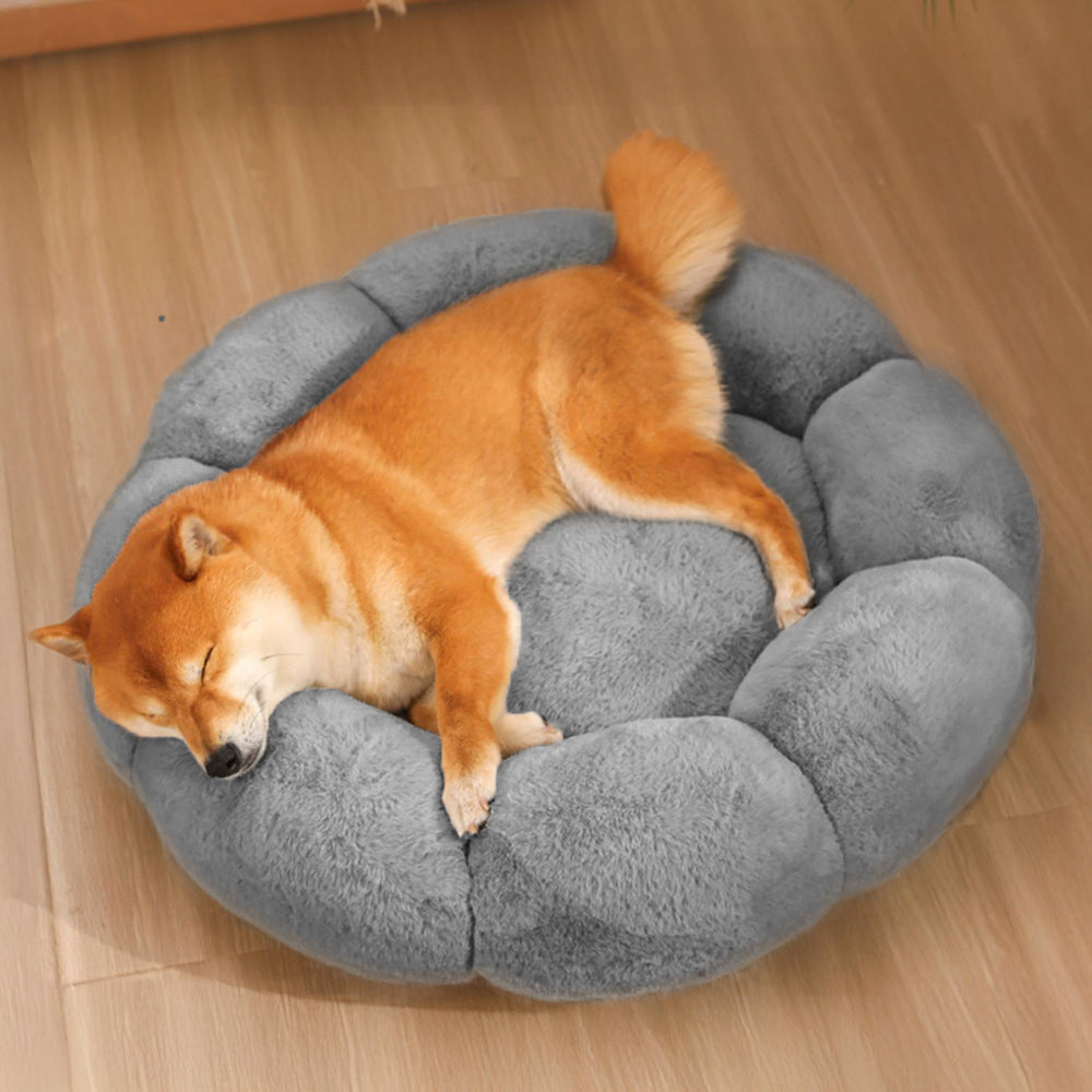 Lisslune | Flower Heat Full Support Washable Decoration Dog & Cat Bed