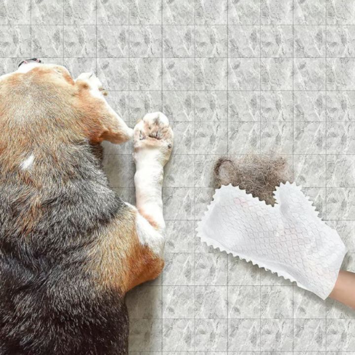 Lisslune | Versatile Household Gloves