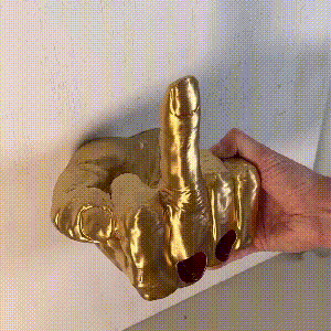 Lisslune | Middle Finger Pocket Tissue Holder