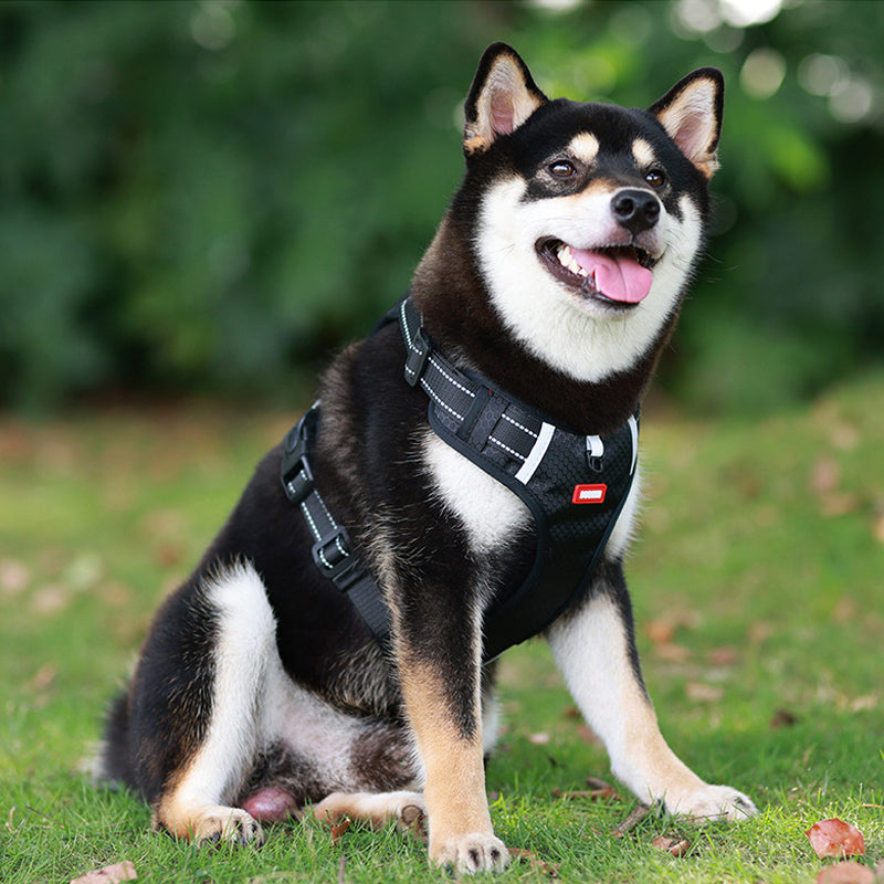 Lisslune | Reflective Dog Harness