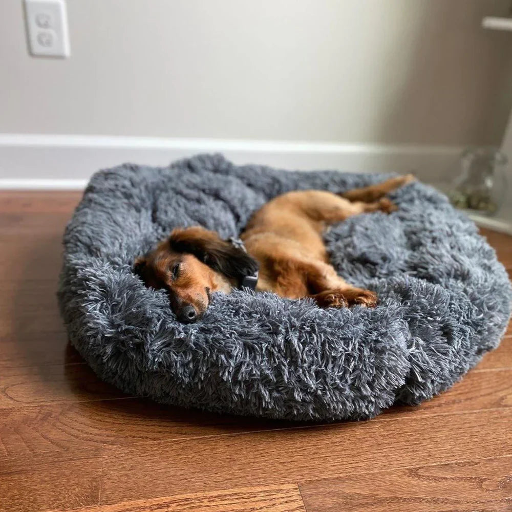 Lisslune | Calming Dog Bed