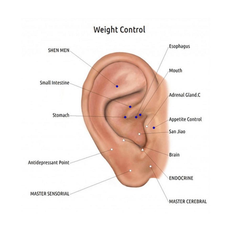 Lisslune | Acupressure Magnet Earrings (One Pair)
