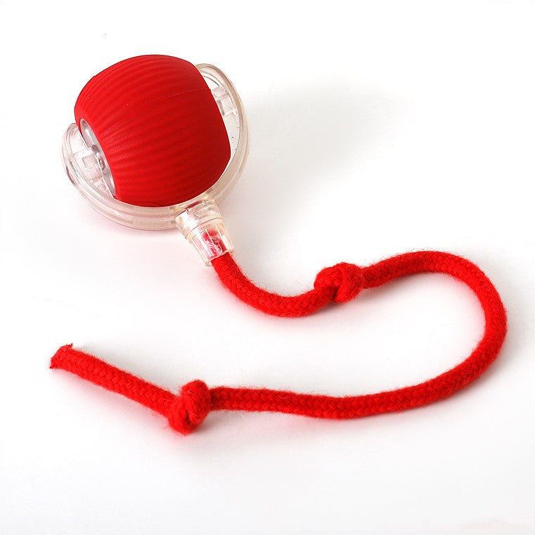 Lisslune | Interactive Rolling Ball Toy with Tail for Cats