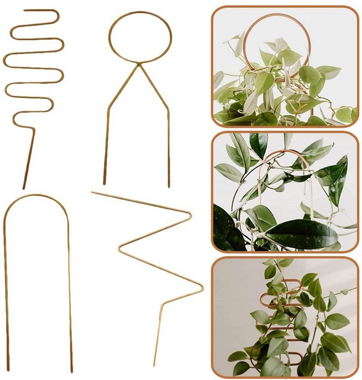 Lisslune | Metal plant support for climbing plants in various shapes