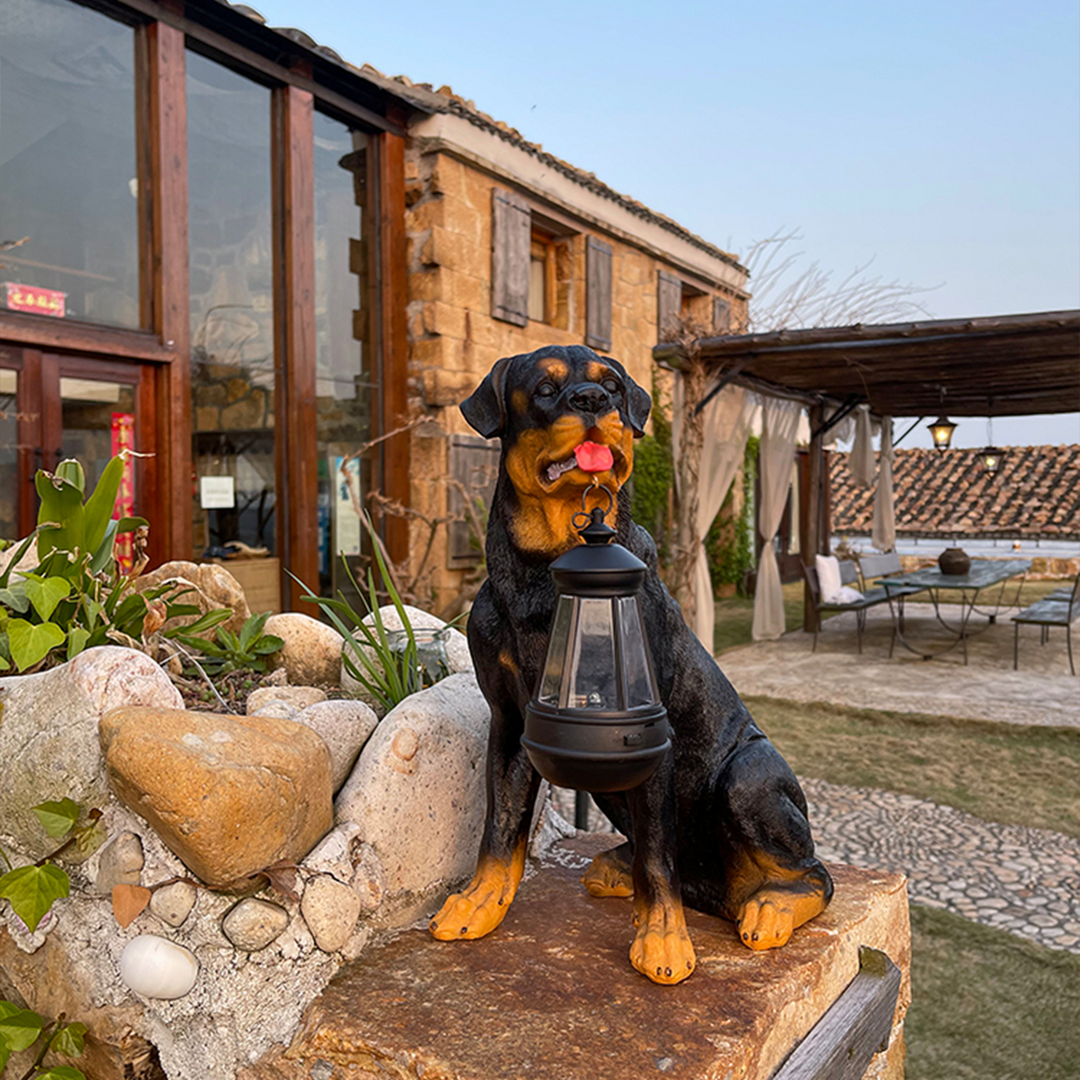 Lisslune | Playful Paws Solar Light