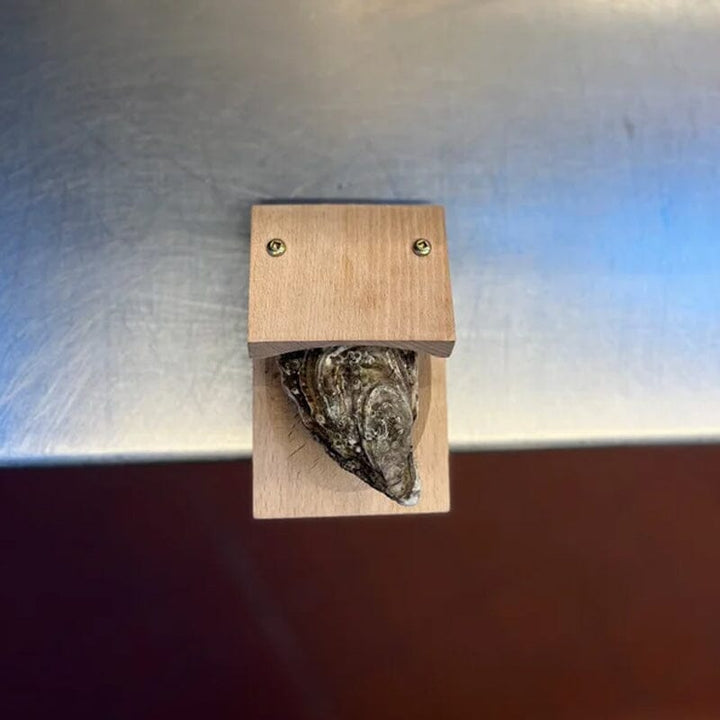 Lisslune | Oyster opening clamp