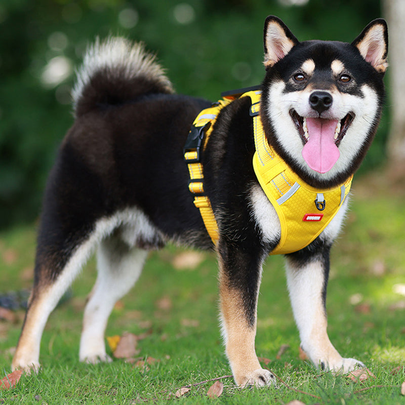 Lisslune | Reflective Dog Harness