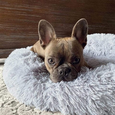 Lisslune | Fluffy Calming Pet Bed for Dogs and Cats