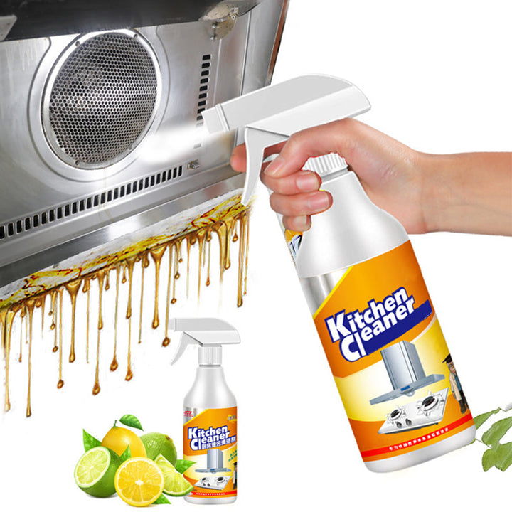 Lisslune | Kitchen Foam Cleaner (500ml)