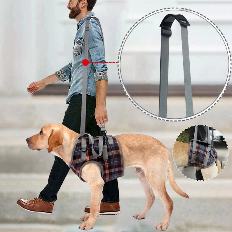 Lisslune | Orthopedic Strap for Hind Legs