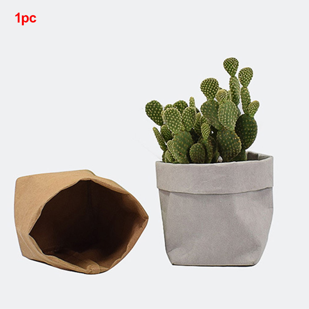 Lisslune | Stylish plant pots made of paper for modern decoration
