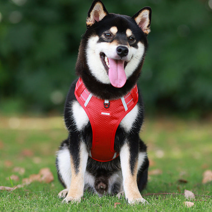 Lisslune | Reflective Dog Harness