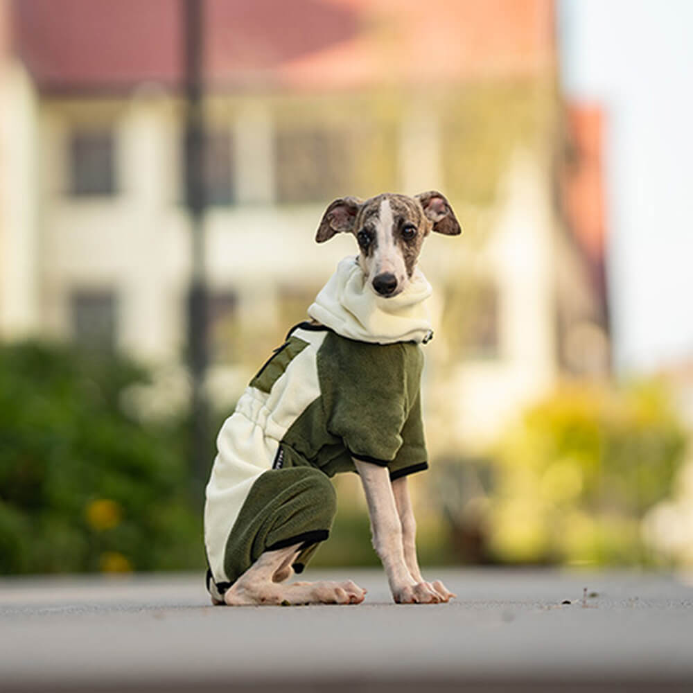 Lisslune | Full Protection Polar Fleece Dog Overall with Removable Collar