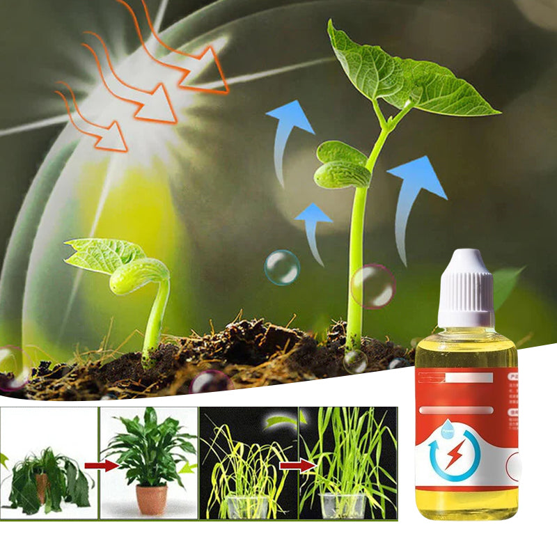 Lisslune | Plant Growth Enhancer Supplement