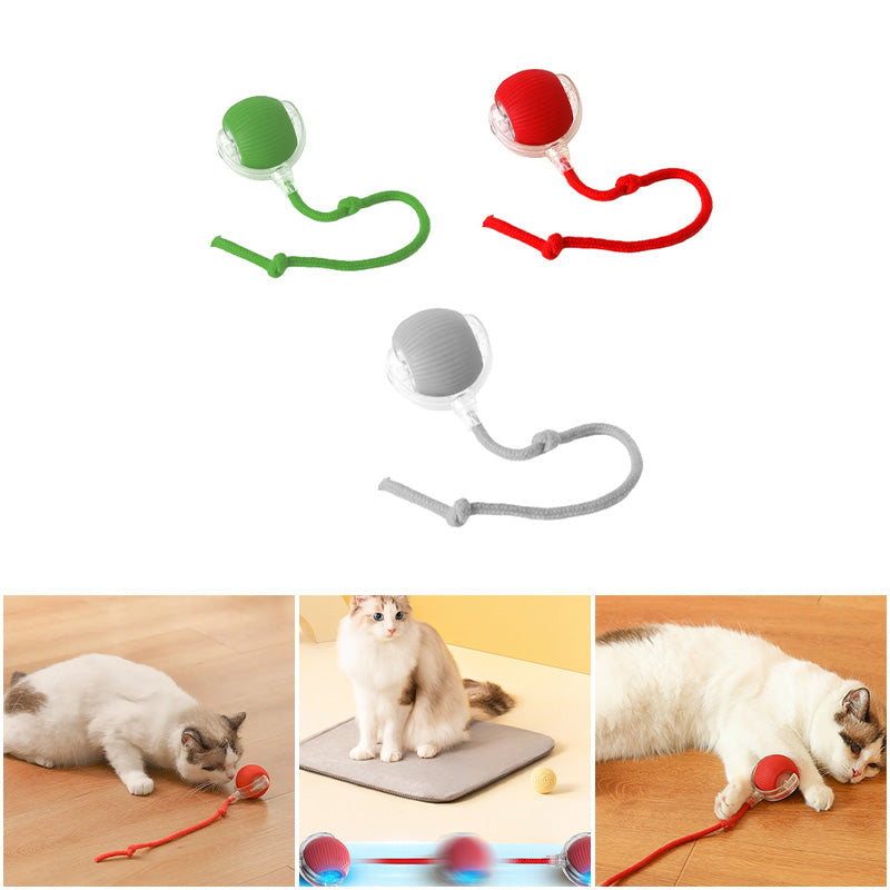 Lisslune | Indoor Cat interactive ball