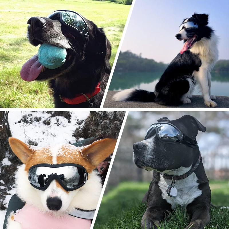 Lisslune | Outdoor Protection Glasses for Dogs