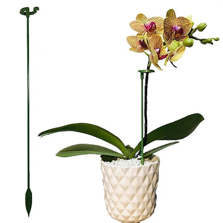 Lisslune | Plant support
