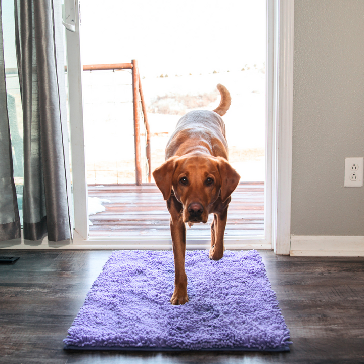 Lisslune | Joep Dog Door Mat – Super Absorbent Mat for Dirty Paws