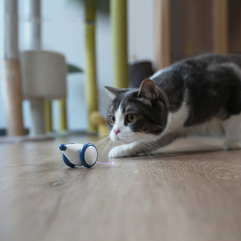 Lisslune | Electric Smart Cat Toy