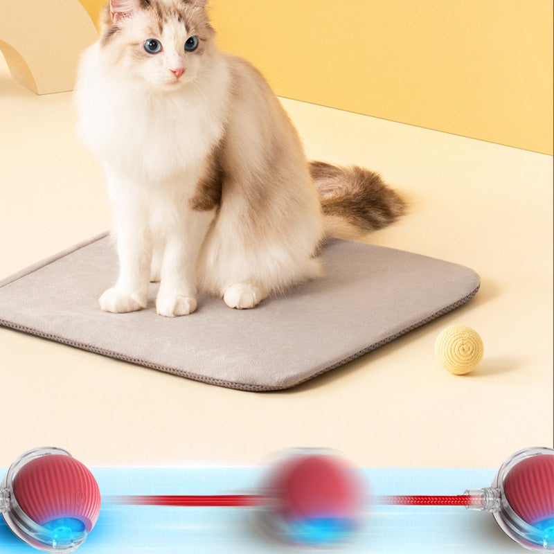 Lisslune | Indoor Cat interactive ball
