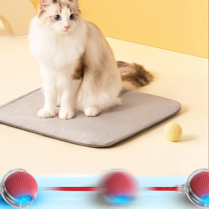 Lisslune | Indoor Cat interactive ball