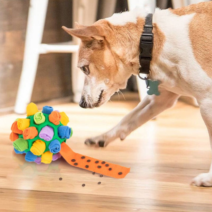 Lisslune | SnuffleMaster Interactive Dog Treat Ball – Foraging and Enrichment Toy