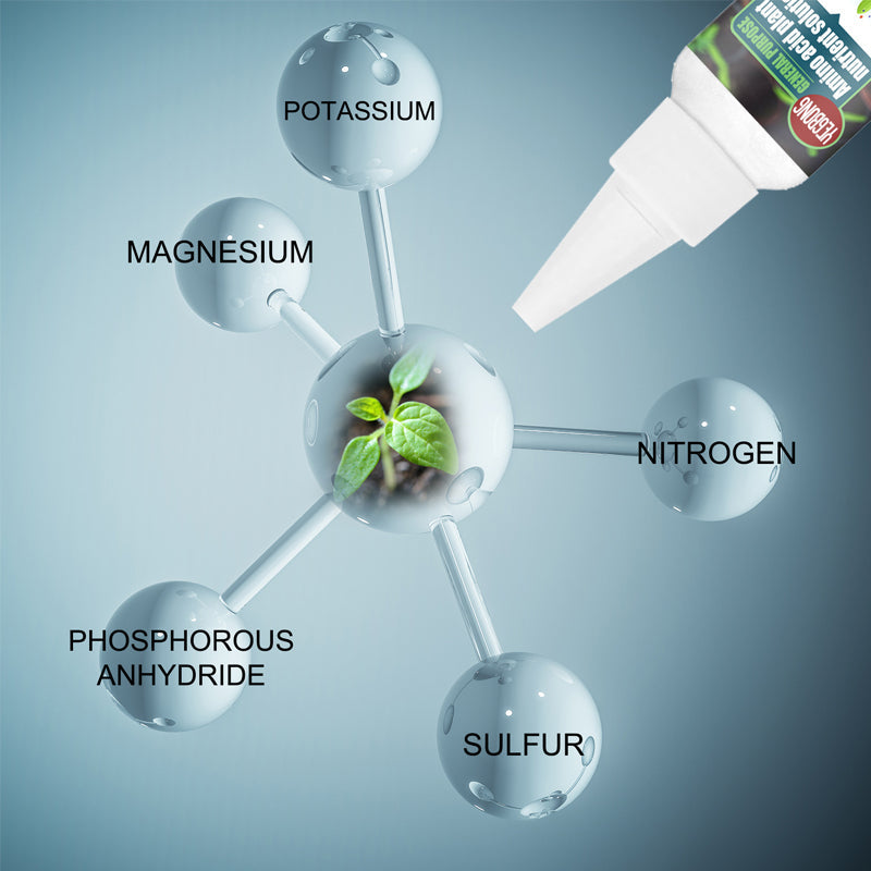 Lisslune | Plant Nutrient Solution
