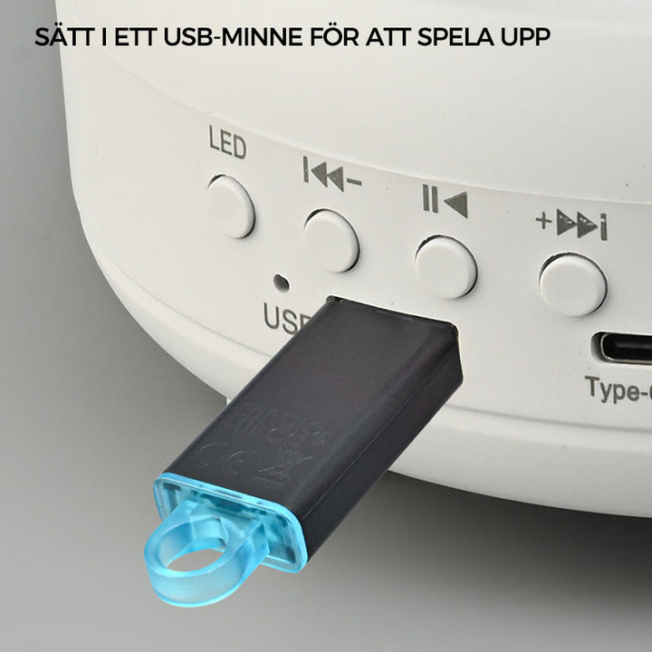 Lisslune | Bluetooth Audio Star Light