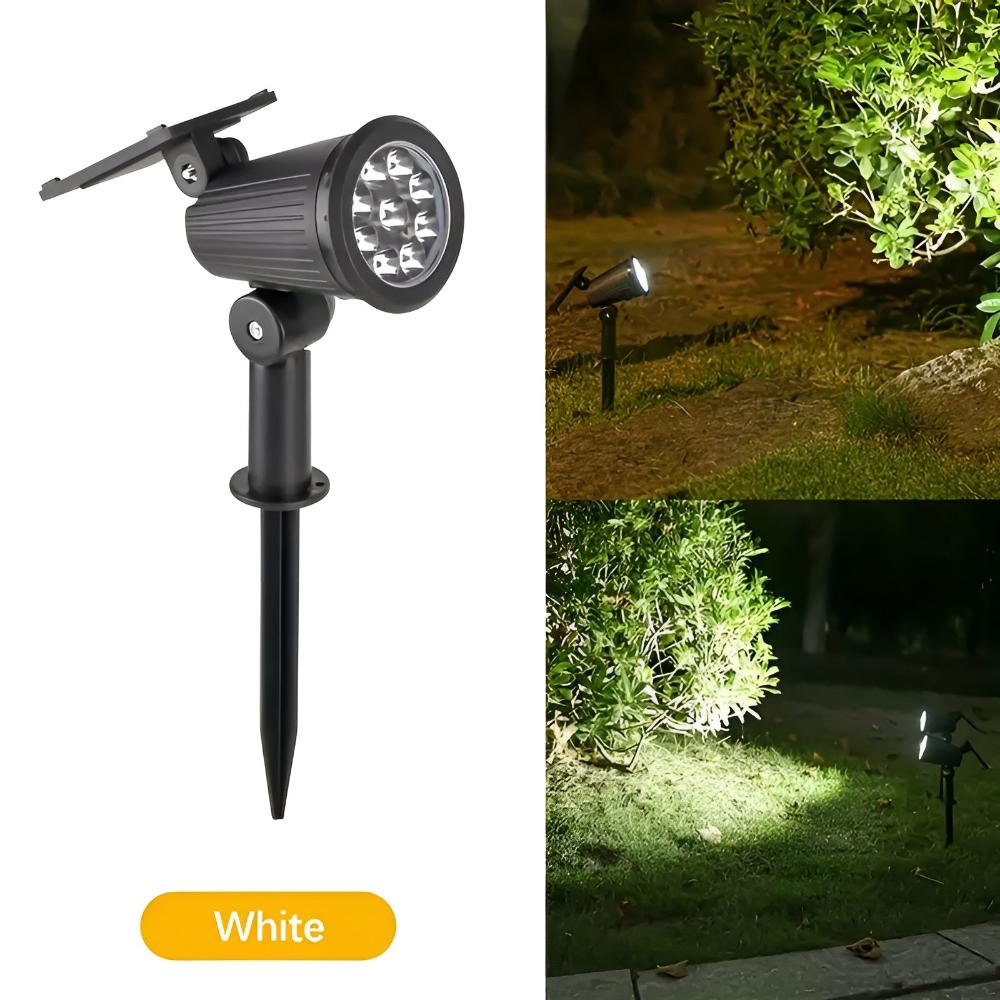Lisslune | Power Glow Solar Light