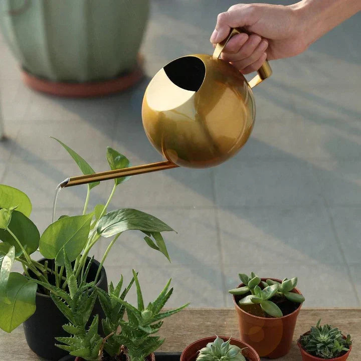 Lisslune | AquaSleek - Precision watering can for delicate plants