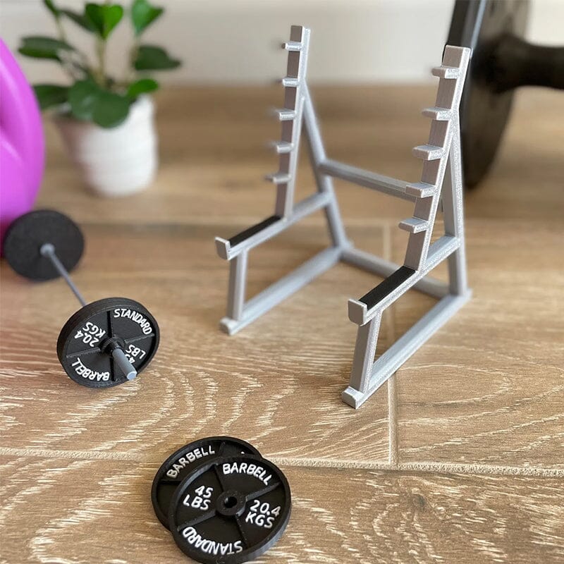 Lisslune | Squat Rack Pin Holder