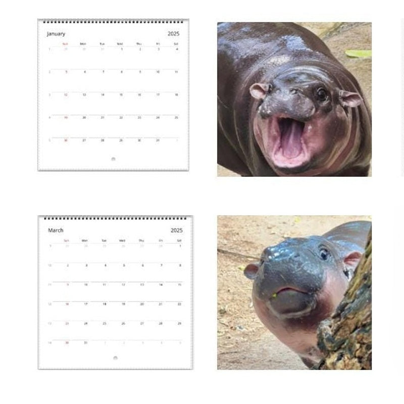 Lisslune | Moo Deng Calendar | Calendar 2025