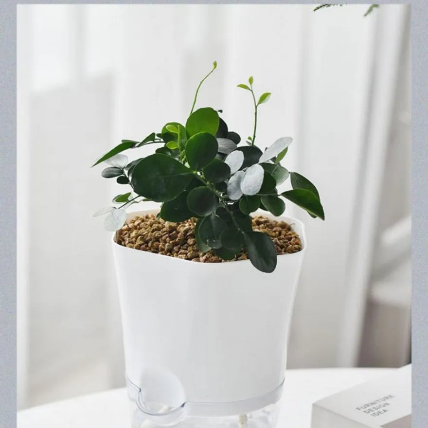 Lisslune | Plant pot with water reservoir – Self-watering flower pot for houseplants