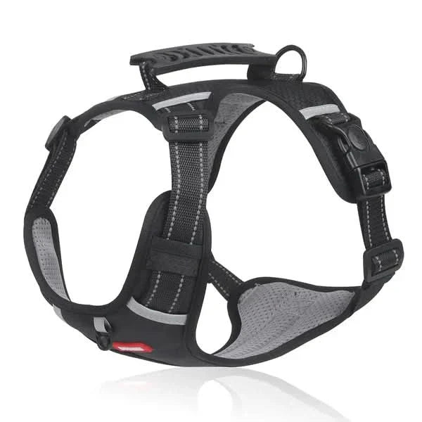 Lisslune | Anti-Pull Dog Harness for Relaxed Walks