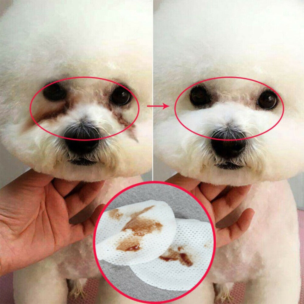 Lisslune | Pet Moisture Wipes