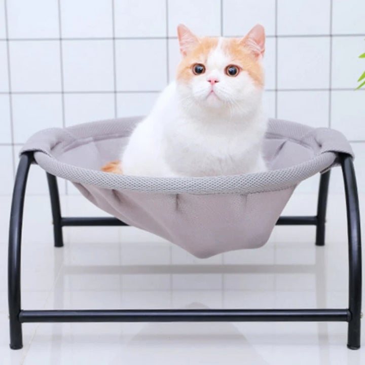 Lisslune | Floor Cat Hammock-With Stand