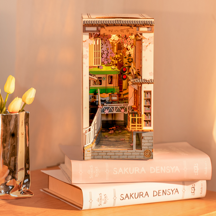 Lisslune | 3D Wooden Book Nook Puzzle
