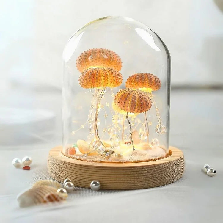 Lisslune | LumiCraft – Unique DIY table lamp with natural sea shell for a cozy décor