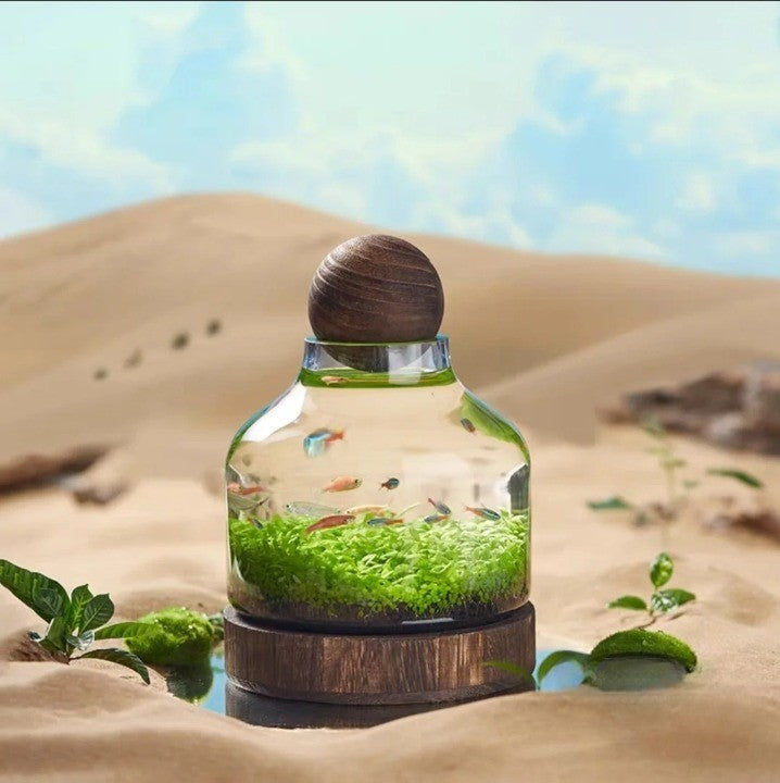 Lisslune | Micro Aquarium Compact Glass Ecological Fish Tank