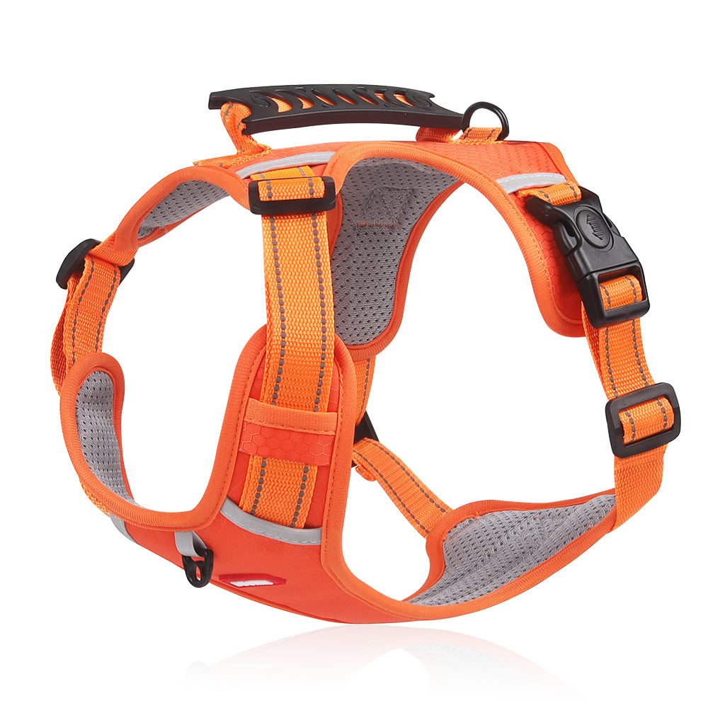 Lisslune | No Pull Dog Harness for Pets