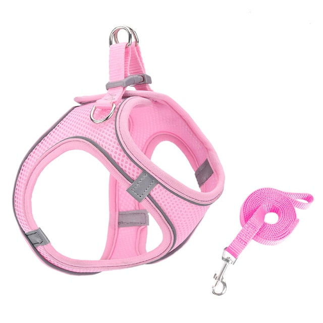 Lisslune | Small pet harness and leash set
