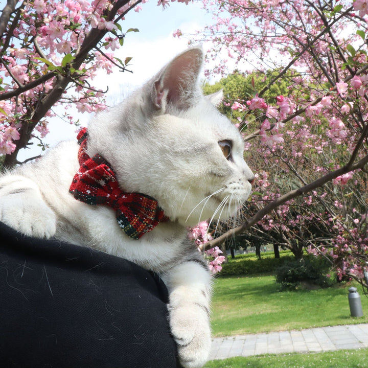 Lisslune | Red striped puppy-kitten collar