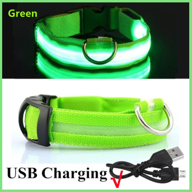 Lisslune | Luminous dog collar