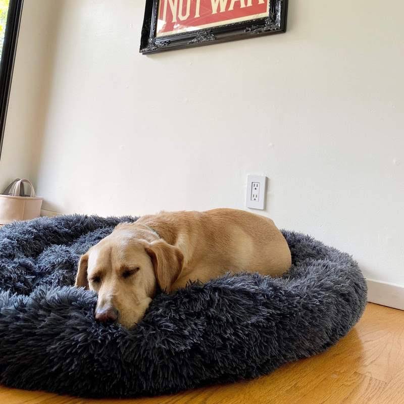 Lisslune | Calming Dog Bed