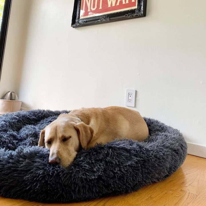 Lisslune | Calming Dog Bed