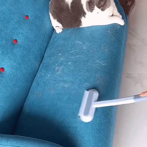 Lisslune | 3-in-1 Pet Hair Remover - PetClean Pro